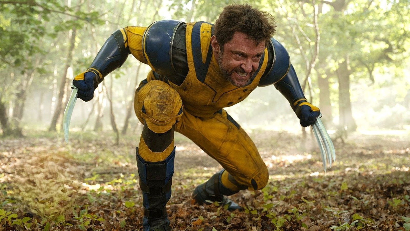 wolverine in a pose of action