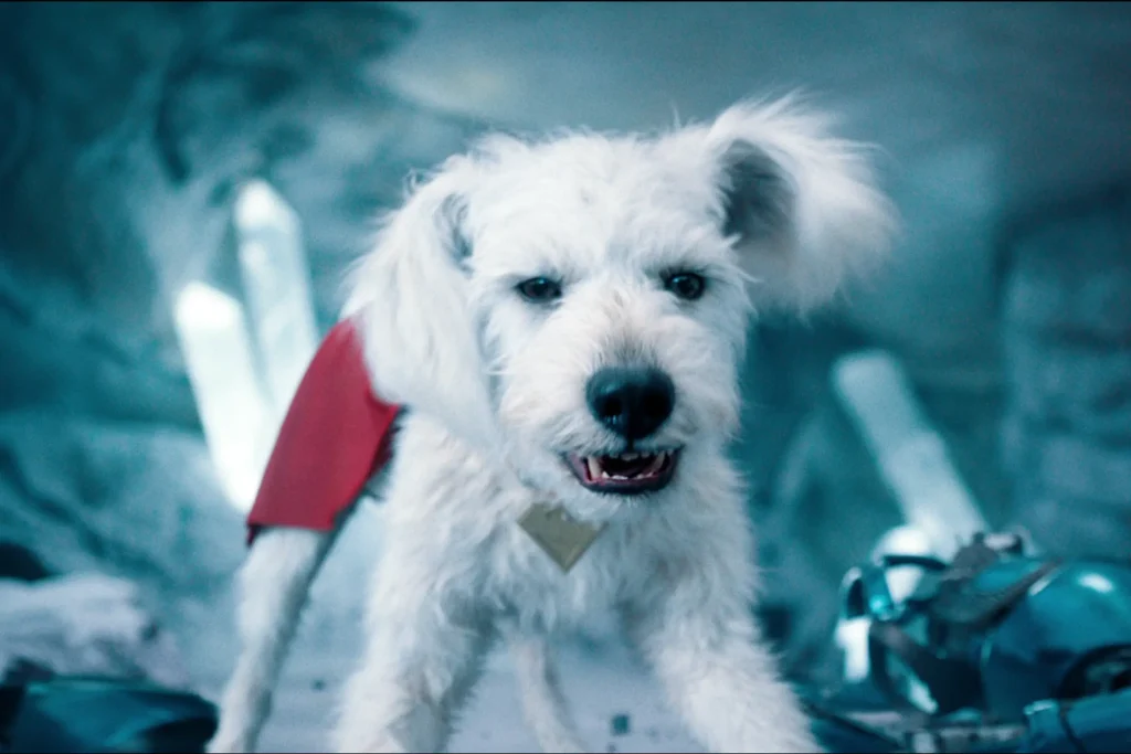 Krypto Superman Dog